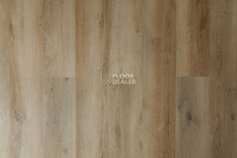 Tarkett Funky House BOB фото 4 | FLOORDEALER